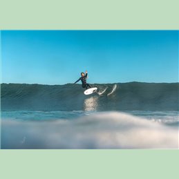 ARMSTRONG - MA 490 MKII FRONT FOIL