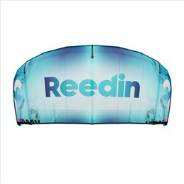 REEDIN - MASTERMODEL - BrainChild