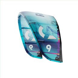 REEDIN - MASTERMODEL - BrainChild