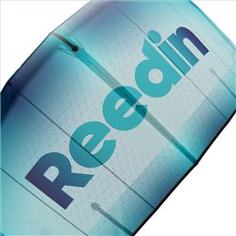 REEDIN - MASTERMODEL - BrainChild