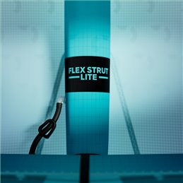 REEDIN - MASTERMODEL - BrainChild